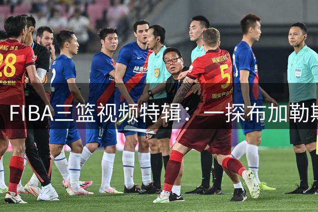 FIBA三篮视频特辑：一探布加勒斯特快速队